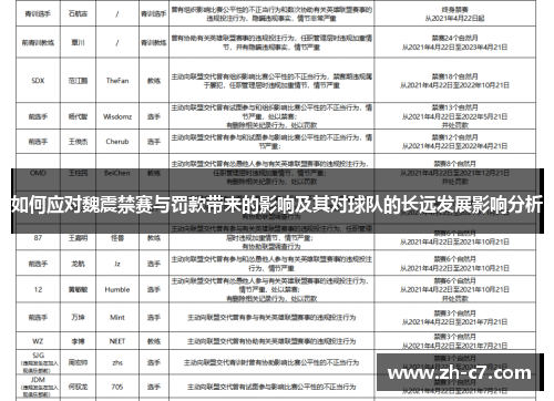 如何应对魏震禁赛与罚款带来的影响及其对球队的长远发展影响分析