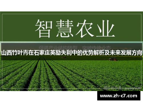 山西竹叶青在石家庄英励失利中的优势解析及未来发展方向