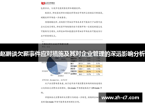 赵鹏谈欠薪事件应对措施及其对企业管理的深远影响分析